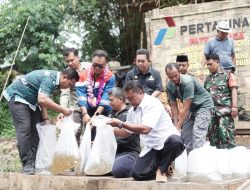 Pertamina Perkuat Ekosistem Lubuk Penyengat dengan Penebaran 150.000 Bibit Ikan Nilem