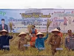 Panen Raya Padi, Pj Walikota dan Ketua DPRD Apresiasi Kelompok Tani