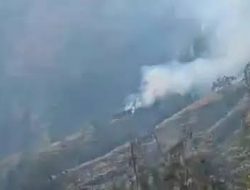 Kebakaran di Gunung Rinjani Hanguskan 100 Hektare Lahan, Jalur Pendakian Senaru Ditutup