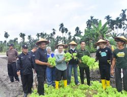 Pj Wali Kota Jambi Kunjungi Kampung Wisata Baselang, Optimalkan Potensi Agrowisata