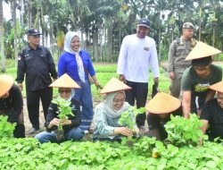 Pj Wali Kota Jambi Dorong Masyarakat Bangun Kampung Wisata