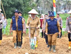 Asta Cita : Pj Wali Kota Jambi Dukung Penanaman Jagung Serentak 1 Juta Hektar