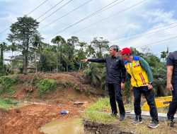 Edi Purwanto Tinjau Perbaikan Jalan Putus di Jambi, Tekankan Pembatasan Beban Jembatan