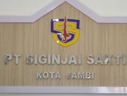 Dugaan Korupsi di PT Siginjai Sakti Naik Kepenyidikan, Penetapan Tersangka Tinggal Menunggu Waktu