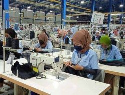 Berlaku Juni 2025, Karyawan Bergaji di Bawah Rp 3,5 Juta, akan Mendapatkan Bantuan Subsidi Upah, Ini Besarannya