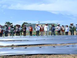 Jamin Pangan dan Kendalikan Inflasi, Pemkot Jambi Luncurkan Lagro Koja