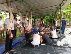Jemaah Masjid Al-Muqorobin Sembelih 9 Ekor Hewan Kurban, Wujud Kepedulian dan Kebersamaan Warga