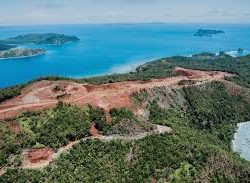 Anggota DPR RI Desak Aktivitas Tambang Nikel di Raja Ampat Dihentikan Permanen