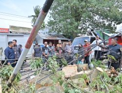 Pemkot Jambi Antisipasi Angin Kencang, DLH Diminta Cek Pohon-Pohon Rawan Tumbang