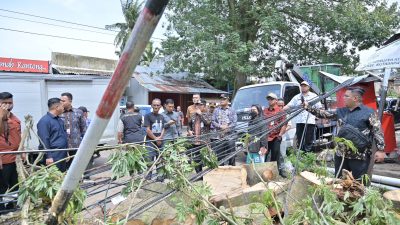 Pemkot Jambi Antisipasi Angin Kencang, DLH Diminta Cek Pohon-Pohon Rawan Tumbang