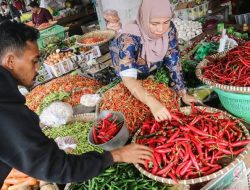 Inflasi Provinsi Jambi Juni 2025 Sebesar 1,34 Persen, Lebih Rendah dari Nasional