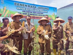 Panen Jagung Pakan Bersama Kelompok Tani Kasturi, Maulana: Contoh Inovasi Ketahanan Pangan Perkotaan