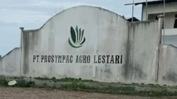 Nekat Beroperasi Usai Disita, PT MMJ Terancam Pidana