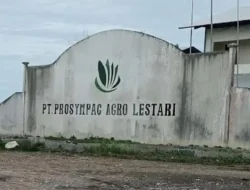 Pabrik PT PAL Beroperasi Meski Disita, Akademisi Ungkap Potensi Pelanggaran Hukum