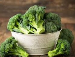 Brokoli hingga Bayam Turunkan Kolesterol Tinggi