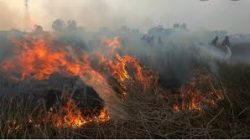 BPBD Muaro Jambi Sebut Ada 73 Desa di Muaro Jambi Masuk Zona Rawan Karhutla, Warga Diminta Hati Hati
