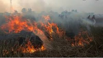 BPBD Muaro Jambi Sebut Ada 73 Desa di Muaro Jambi Masuk Zona Rawan Karhutla, Warga Diminta Hati Hati