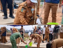 Kolam Retensi Jambi Dihijaukan, 500 Pohon Tanjung dan Tabebuya Segera Ditanam