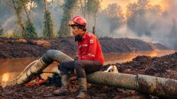 Melawan Api, Menahan Rindu: Kisah Petugas Karhutla dan Keluarganya