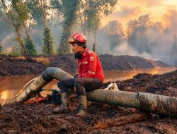 Melawan Api, Menahan Rindu: Kisah Petugas Karhutla dan Keluarganya