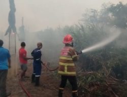 Kebakaran Lahan Meluas di Tanjung Johor, Damkar Berjibaku Lindungi Rumah Warga