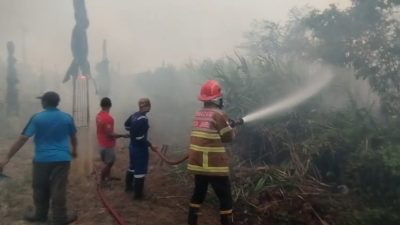 Kebakaran Lahan Meluas di Tanjung Johor, Damkar Berjibaku Lindungi Rumah Warga